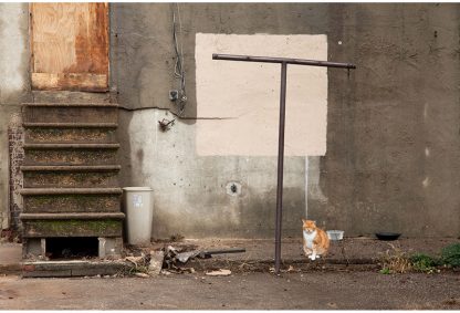 Ben Marcin