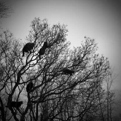 Jason Houge