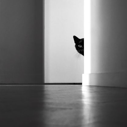 Magda Lates