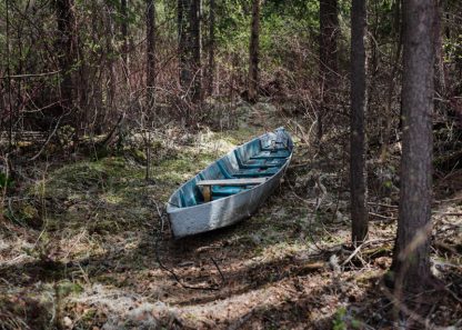 Boat in a forest