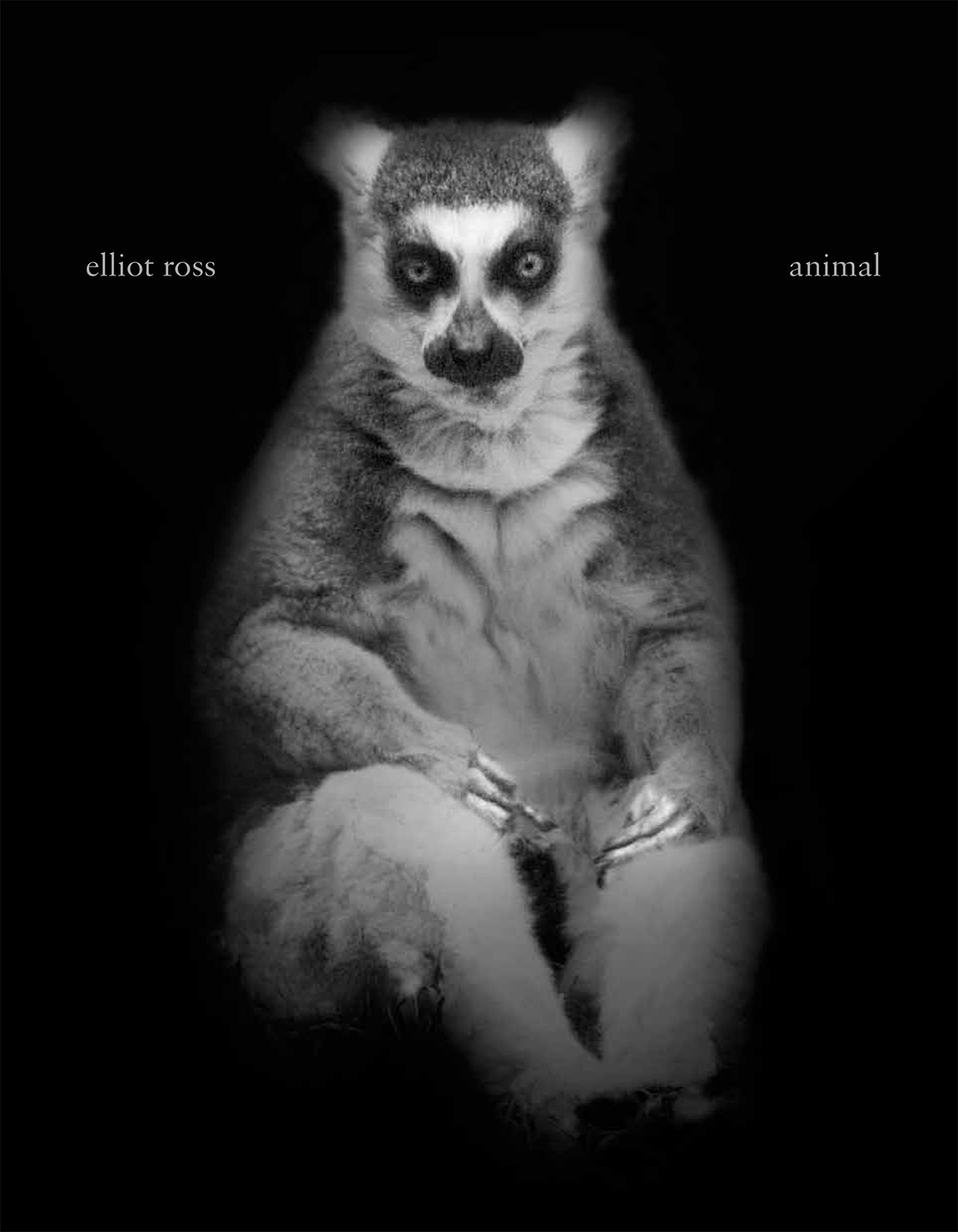 Animal Schilt Publishing and Gallery