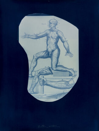 Study for Exalted, 2025