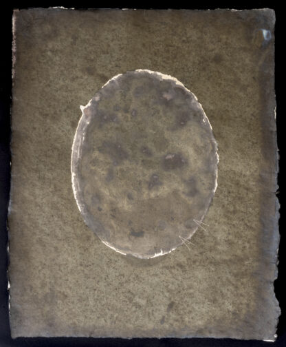EoM no. 19, 2023-24