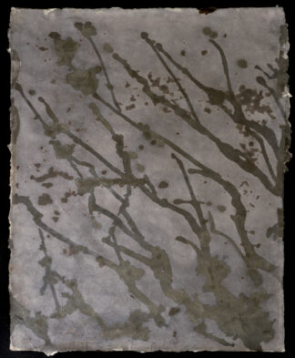 EoM no. 46, 2023-24