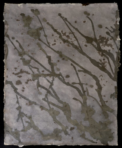 EoM no. 46, 2023-24